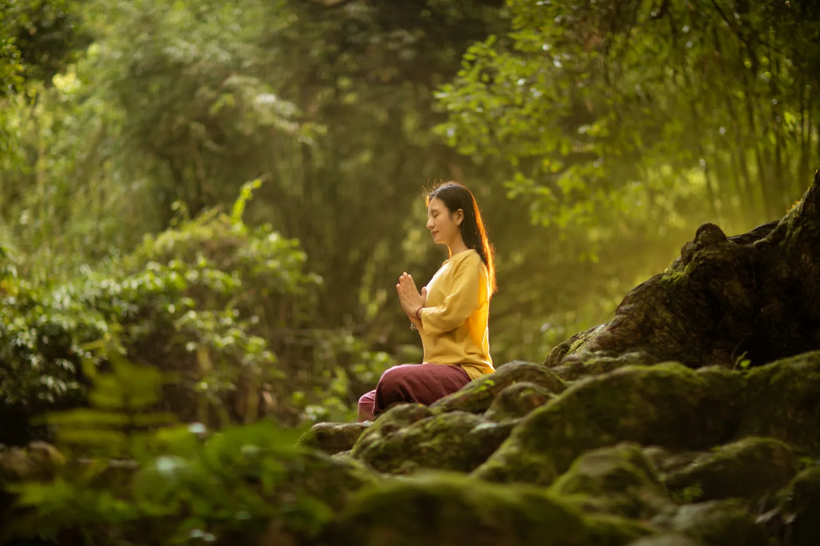 Person meditating peacefully in a sunlit forest