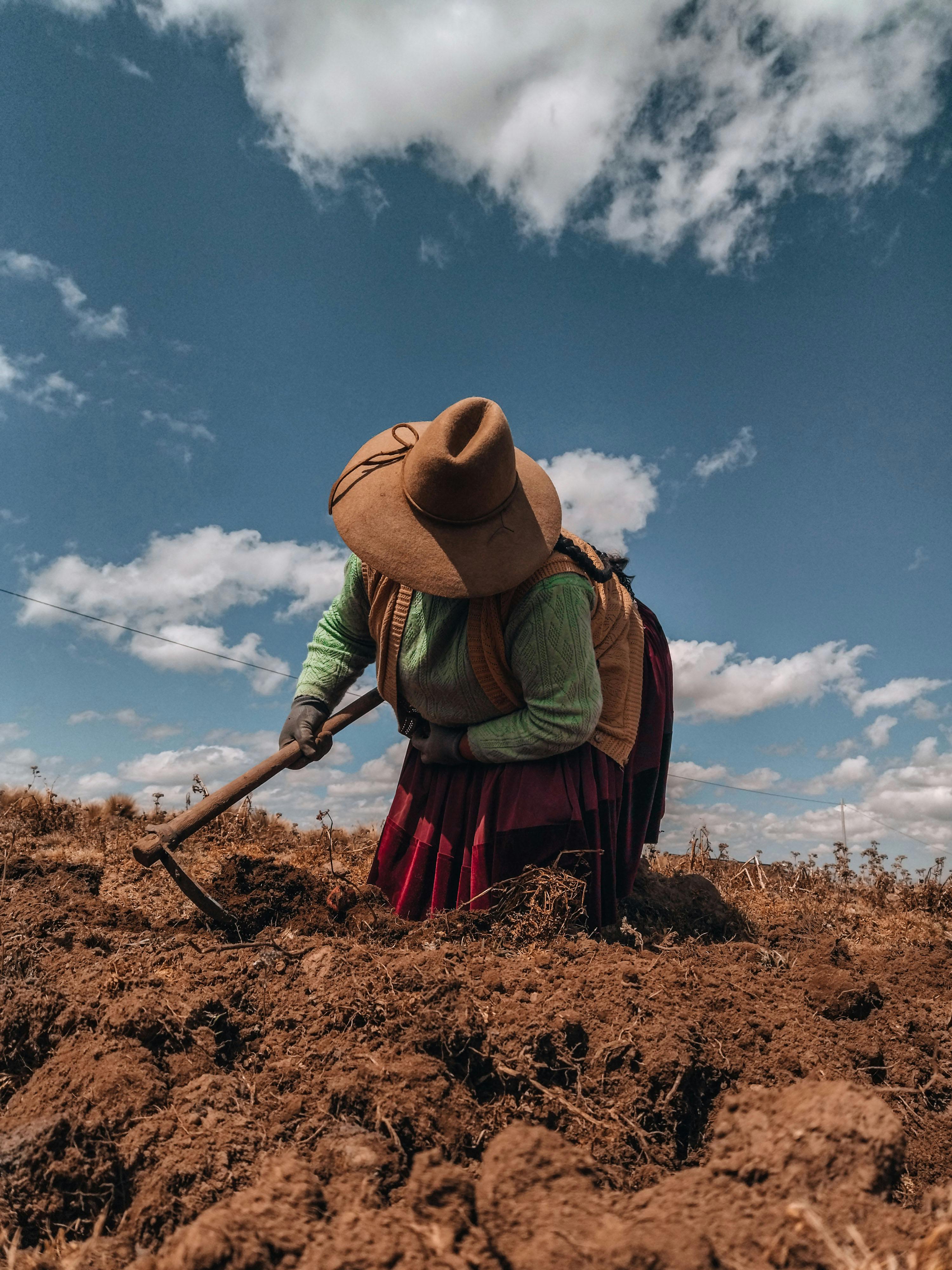 Peruvian farmer working in the high-altitude Andes
