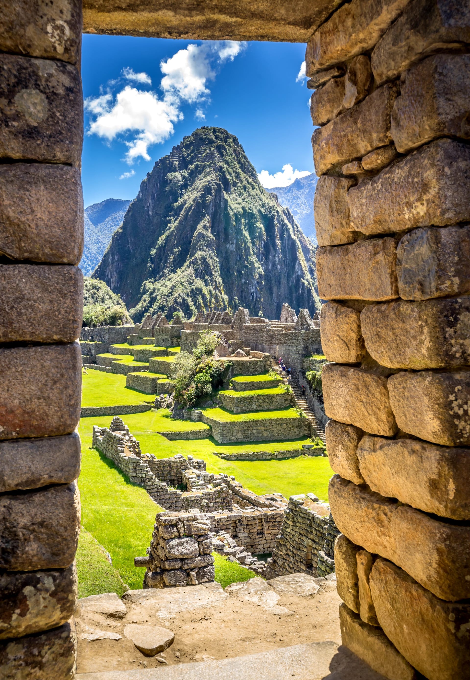 Temple doorway next to sunset lupin in the Andes